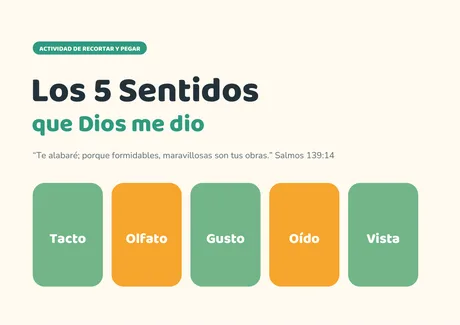 Portada del bono Los 5 Sentidos que Dios me Dio